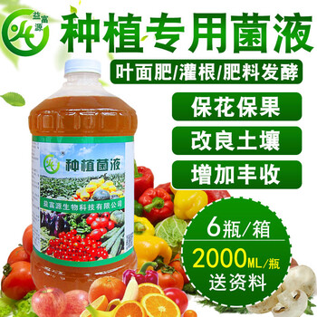 有機蔬菜葉面肥用種植em菌液好處多怎么購買