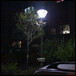led路灯庭院灯景观灯户外室外别墅道路草坪灯3米3.5米公园高杆灯