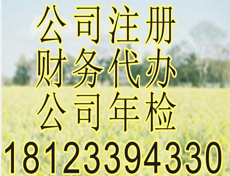 【青羊区,武侯区代办公司营业执照,公司财务,公