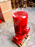 供应XBD4.8/5-SHL消防泵，喷淋泵，消火栓泵，稳压泵哪家好？图片2