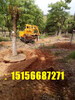 三普挖樹機三普牌3WSL-1.6型鏈式挖樹機和四瓣挖樹機區別