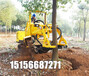 三普挖树机链式移树机机械挖树队不断组建