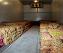芜湖市红薯保鲜库建设找和雪图片