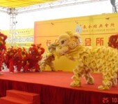 深圳舞狮队介绍开业请舞狮子表演一只好还是两只好