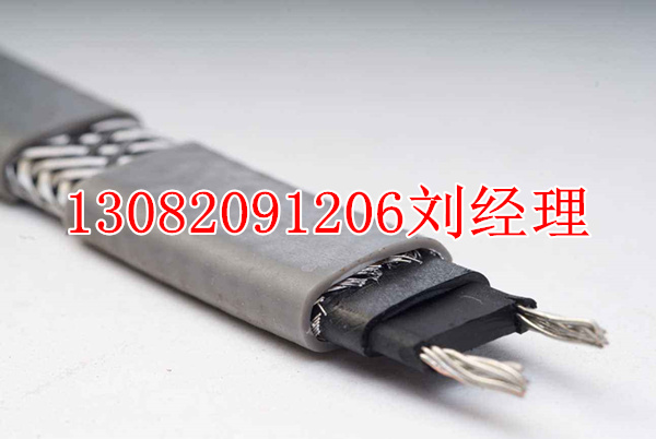 高溫自恒溫電加熱帶_石油電熱帶設(shè)計圖