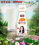 椰泰椰汁牛奶品牌代理诚向吉林省各地区市招代理商图片4