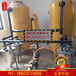  Principle of continuous regeneration process of biogas desulfurization tower desulfurization dehydration equipment