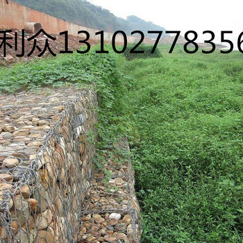河道護(hù)堤格賓石籠河道生態(tài)護(hù)坡雷諾護(hù)墊石籠網(wǎng)箱公司