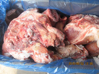 進口豬頭,加拿大12廠,帶耳朵,帶口條,冷凍豬頭,新鮮,貨源充足圖片1