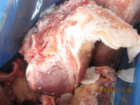 進口豬頭,加拿大12廠,帶耳朵,帶口條,冷凍豬頭,新鮮,貨源充足圖片3
