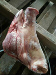 进口猪头，加拿大513厂冷冻猪头，整头无耳，新鲜干净，颜色好