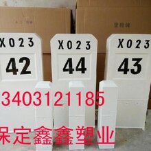 里程碑塑料模具寿命图片