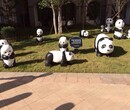 趣味国宝PANDA熊猫模型出租啦