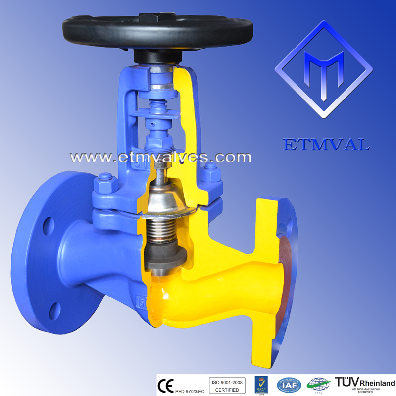 etm bellows globe valve 9