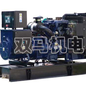 江苏双马厂家无锡动力250kw柴油发电机