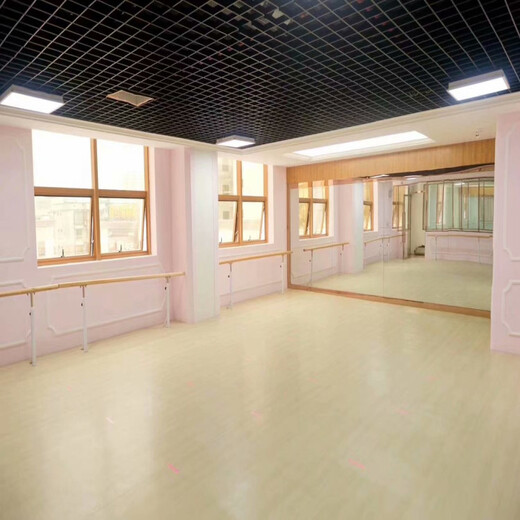 舞蹈教室地胶民族舞舞蹈房地板