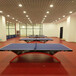 山东塑胶地板乒乓球室地板施工