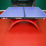 乒乓球运动地胶PVC塑胶地板乒乓球地板图片0