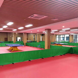 乒乓球运动地胶PVC塑胶地板乒乓球地板图片1