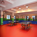 乒乓球运动地胶PVC塑胶地板乒乓球地板图片3