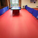 乒乓球馆地胶羽毛球塑胶地板乒乓球塑胶运动地板