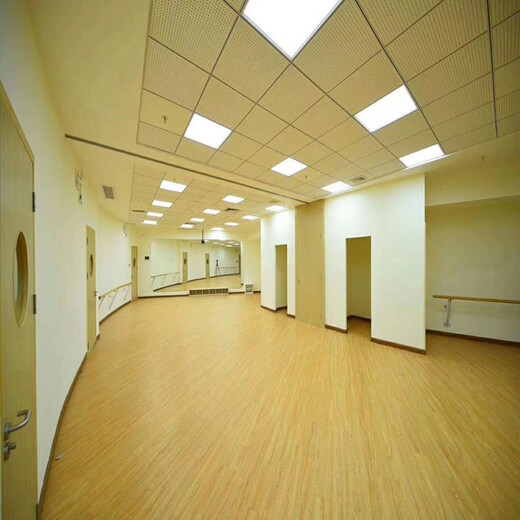 舞蹈教室塑胶地板舞蹈室地胶地板