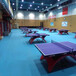乒乓球PVC运动地板塑胶运动地板厂家
