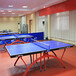 乒乓球塑胶地板价格室内PVC运动地板