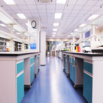 实验室PVC地板胶药厂医院实验室地胶安装