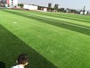 足球场人造草坪50mm运动草坪施工哪里能做室外人造草坪