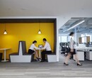 办公室装修如何设计布局能为办公空间添光增彩？图片