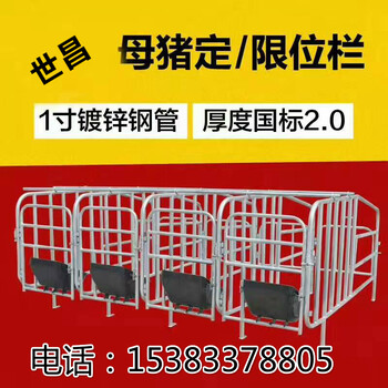 养殖业定位栏设备猪场供应厂家