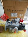 K50機(jī)油泵3634643/3634648齒輪數(shù)量區(qū)分