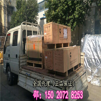 俄羅斯出口缸套3948095QSL密封圈3800328