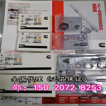 ISG噴油器閥球4307207EF山東濟(jì)寧?？荡?>
                        </div>
                        <div   class=