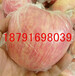 膜袋红富士苹果批发陕西纸夹膜红富士苹果产地价格