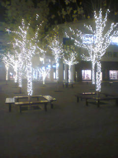 北京朝阳区安装彩灯灯串树灯灯光亮化圣诞树装饰