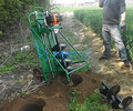 植树挖孔机植保地钻 钻树坑机 植树挖坑机