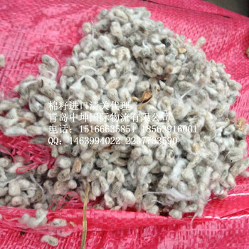 棉籽进口青岛中坤国际物流有限公司清关代理