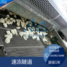 日产3吨饺子速冻隧道生产流水线全套设备图片