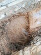 捷达---东莞东莞捷达专业地下管道漏水检测维修图片