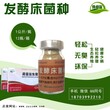 养猪用的发酵床菌种多少钱一件图片