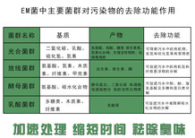 启富em菌液大包装代加工污水处理用的价格多少bf2xjhs12图片2