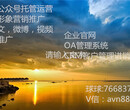 为什么说网站是企业的品牌形象？深圳友软科技图片