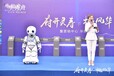 海南智能机器人表演活动道具供应商