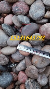永顺鹅卵石批发，德州5-8厘米变压器用鹅卵石价格