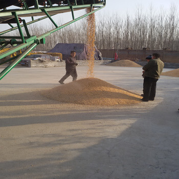 供应粮食烘干塔大型粮食干燥设备厂家