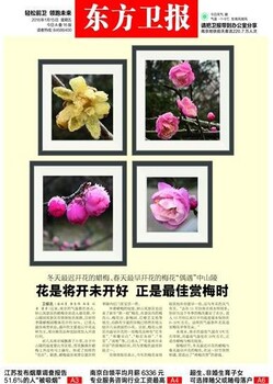 东方卫报公告刊登价格咨询电话