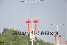 河北市政照明工程LED道路照明节日灯LED中国结图片5