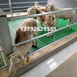 羊床漏粪地板价格羊羔用漏粪板羊用羊床塑料漏粪板图片